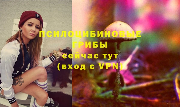 тгк Алзамай