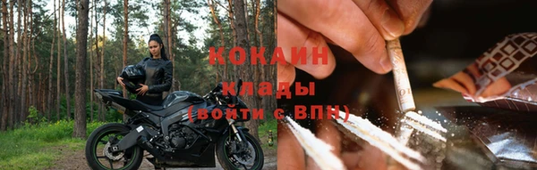 тгк Алзамай