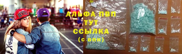 тгк Алзамай
